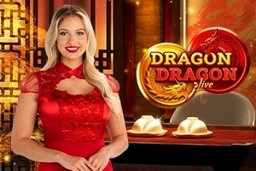 Dragon Dragon