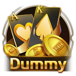 Dummy